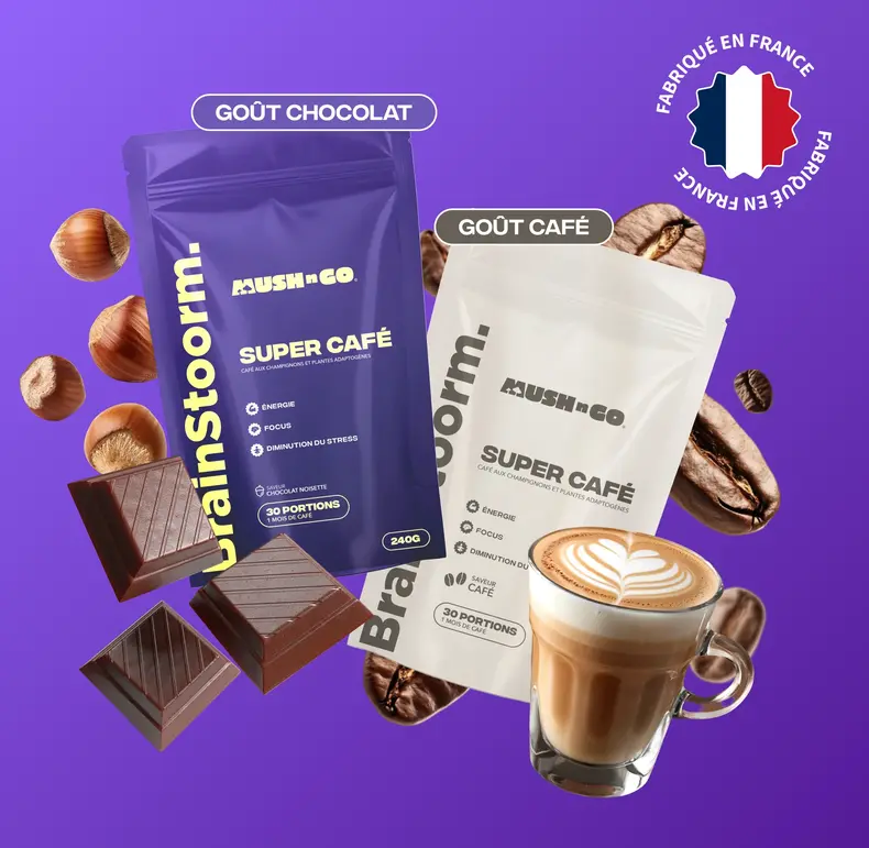 Avis Brainstoorm MushNGo : Duo Café (goût Choco noisette & Café) 
