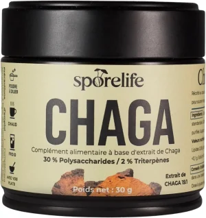 Chaga en poudre Sporelife