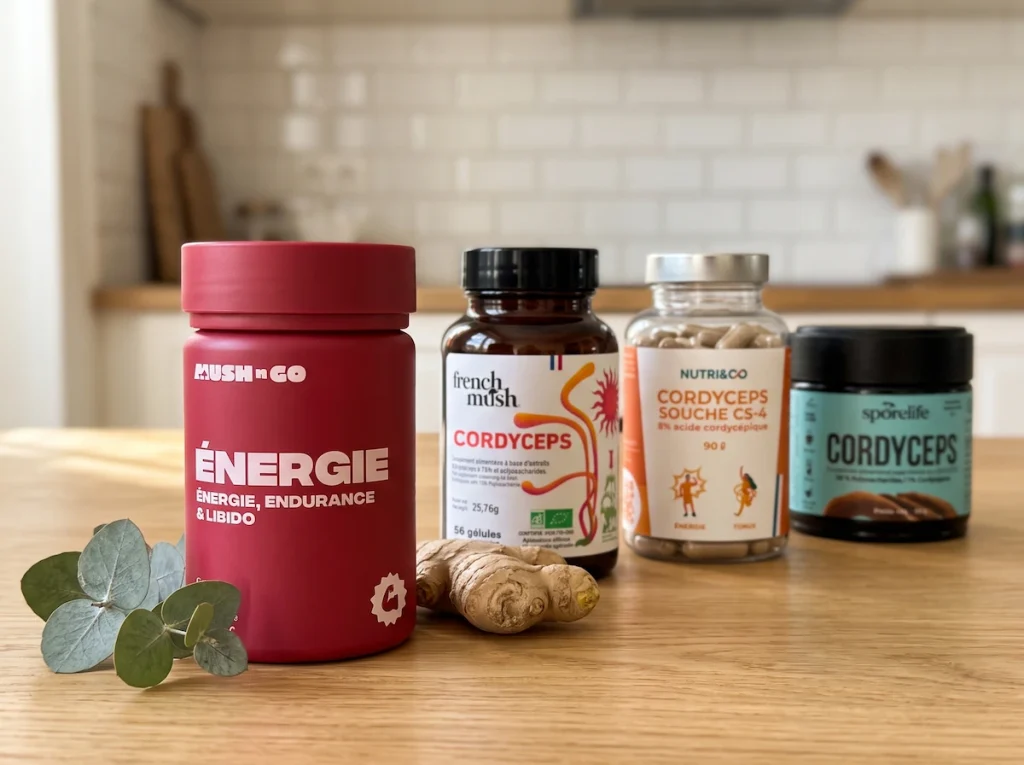 Champignon énergie : nos 4 produits comparés Meilleur champignon pour l’énergie : 4 produits comparés