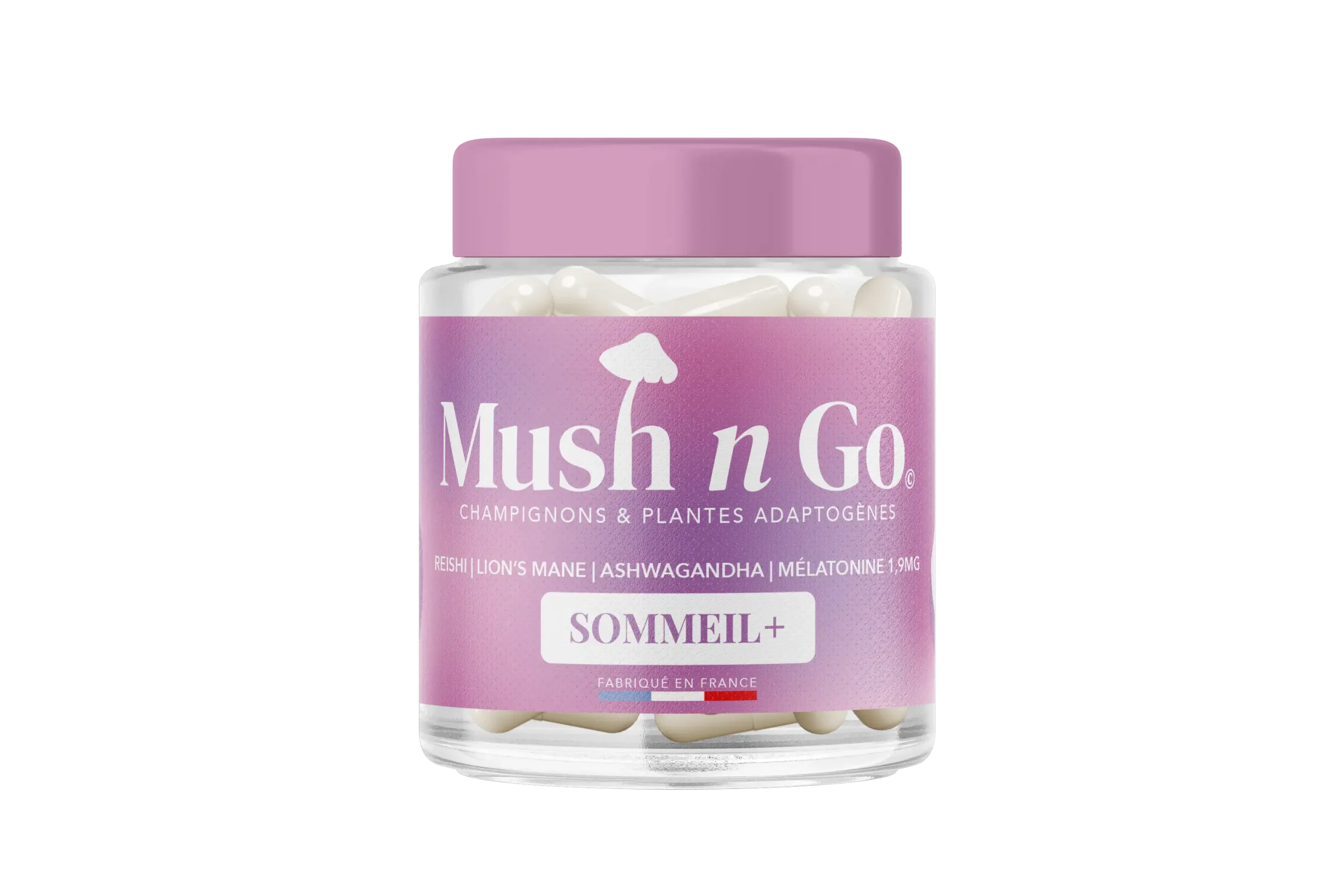 Sommeil lion's mane- MushNGo