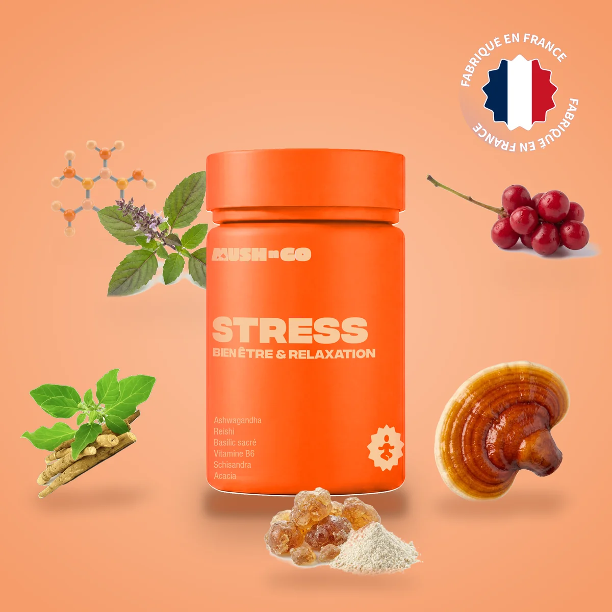 Complexe anti-stress au Reishi et à l'ashwagandha Mush N Go