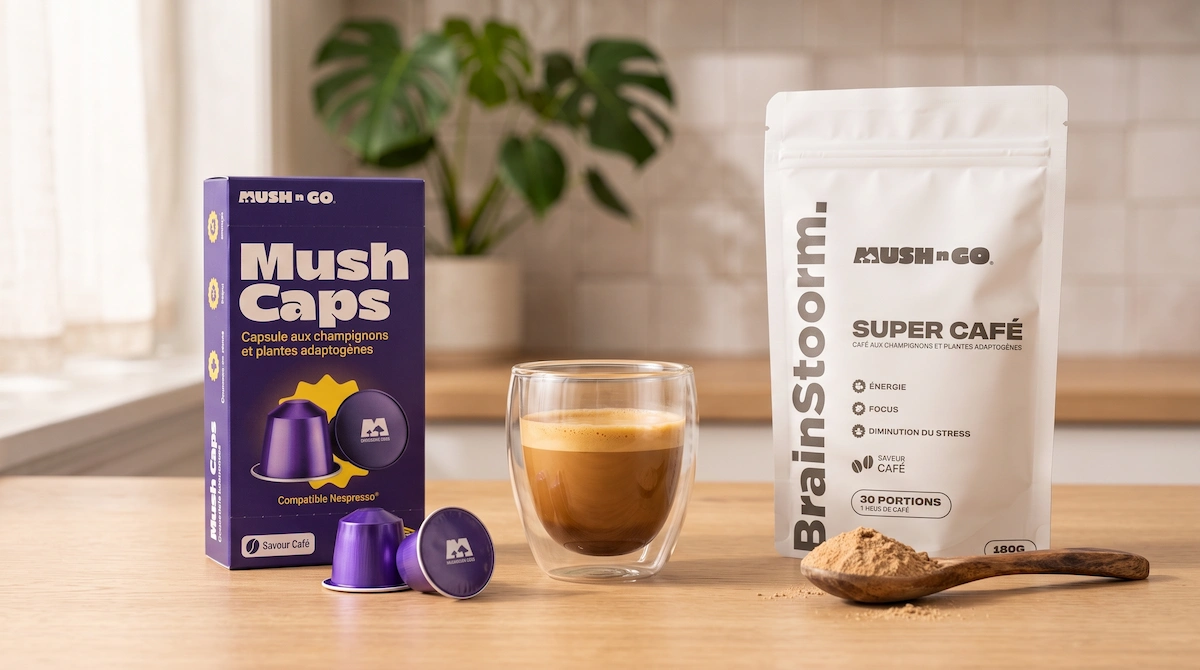 Café champignon capsule ou poudre : Mush Caps face à Brainstoorm